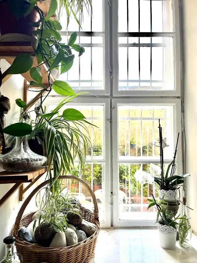 Unique, Homey Apartment With Free Parking In Central Budapest